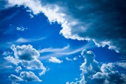 世界体操单项赛新晋裁判名单公示，世界体操锦标赛2021
